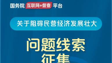 c逼视频国务院“互联网+督查”平台公开征集阻碍民营经济发展壮大问题线索